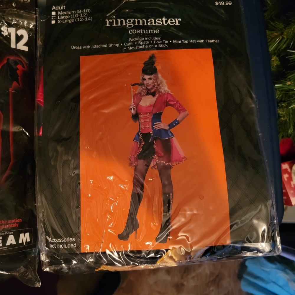 Womens ringmaster halloween costume size lg